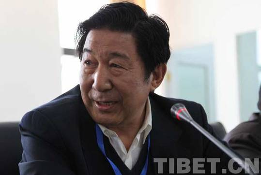 共論藏文化保護：海內外專家學者思想碰撞在拉薩